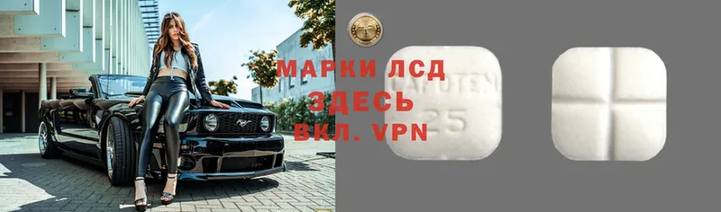 Где купить наркотики Майкоп Кокаин  Метамфетамин  Codein  ГАШИШ  Alpha-PVP  МАРИХУАНА 